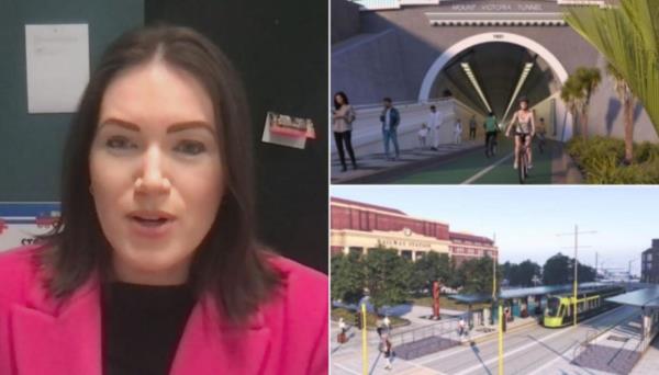 ACT的Brooke van Velden呼吁“让惠灵顿行动起来”(Let's Get Wellington Moving)取消，希望收费公路为第二条维克山隧道提供资金